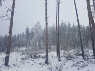 Поземлен имот с идентификатор 47024.47.4, находящ се в с. Манастирище, общ. Своге, обл. София, местност Рецкото