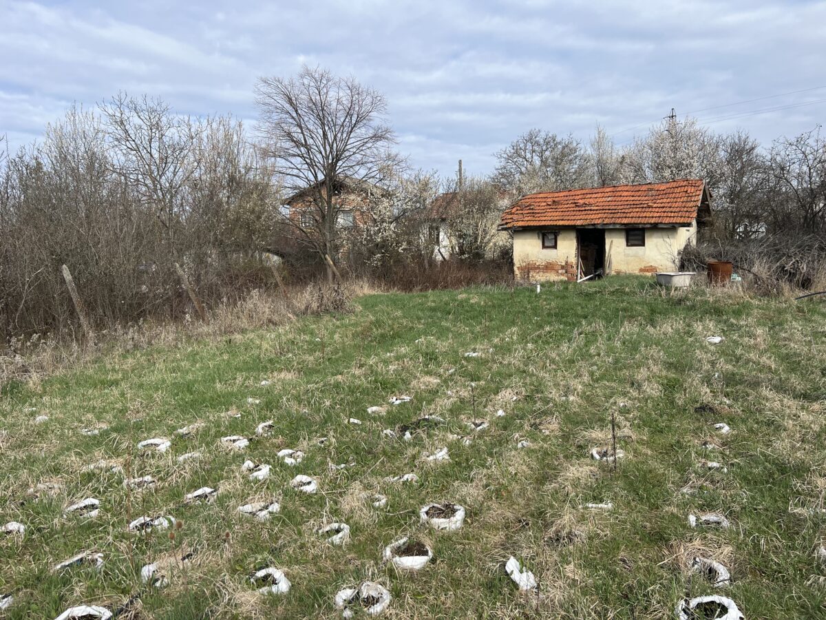 ПАРЦЕЛ С КЪЩА