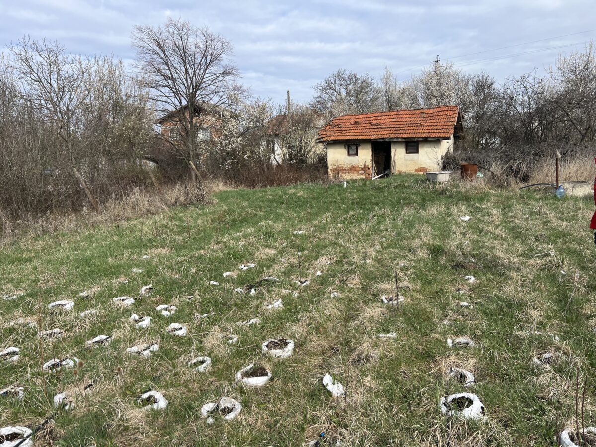 ПАРЦЕЛ С КЪЩА