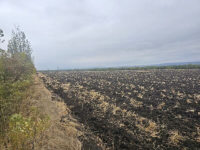 НЕЗАСТРОЕН УПИ ХV – 013077 в кв. 90 по регулационния план на с. Хераково, община Божурище, Софийска област