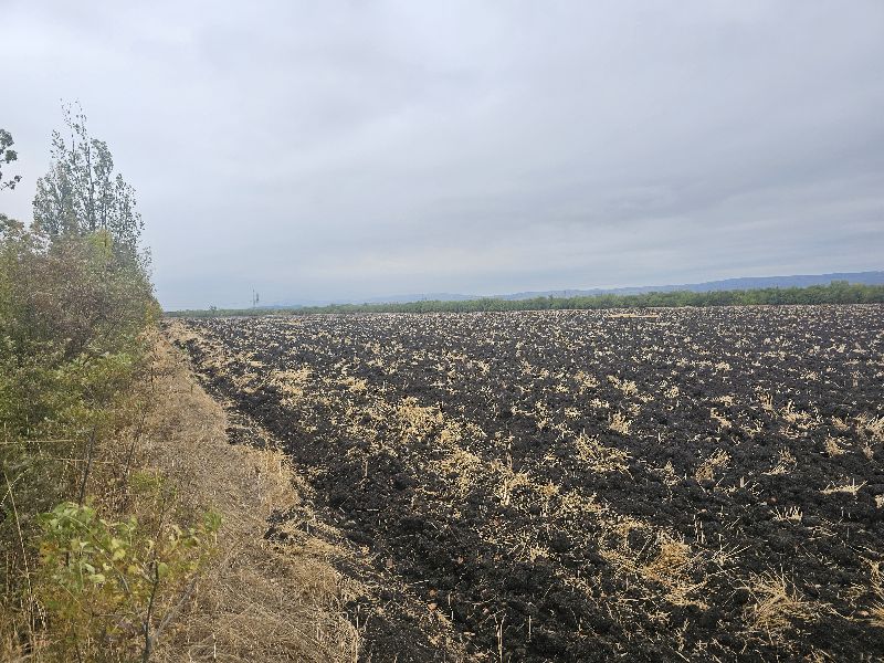 НЕЗАСТРОЕН УПИ ХV – 013077 в кв. 90 по регулационния план на с. Хераково, община Божурище, Софийска област