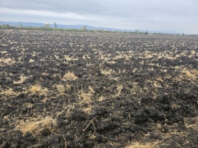 НЕЗАСТРОЕН УПИ ХV – 013077 в кв. 90 по регулационния план на с. Хераково, община Божурище, Софийска област