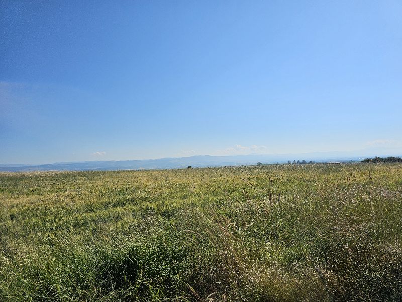 Парцел