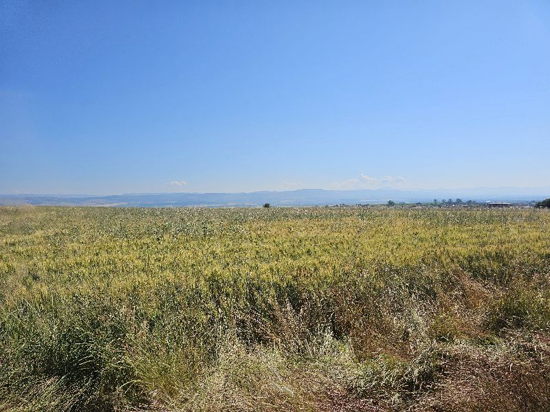 Парцел