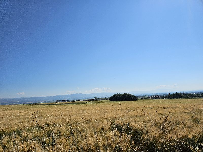 Парцел